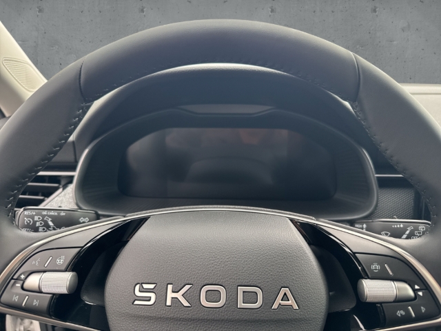 Fahrzeugabbildung SKODA Kamiq 1.0 TSI SELECTION LED SHZ Temp PDC Klima