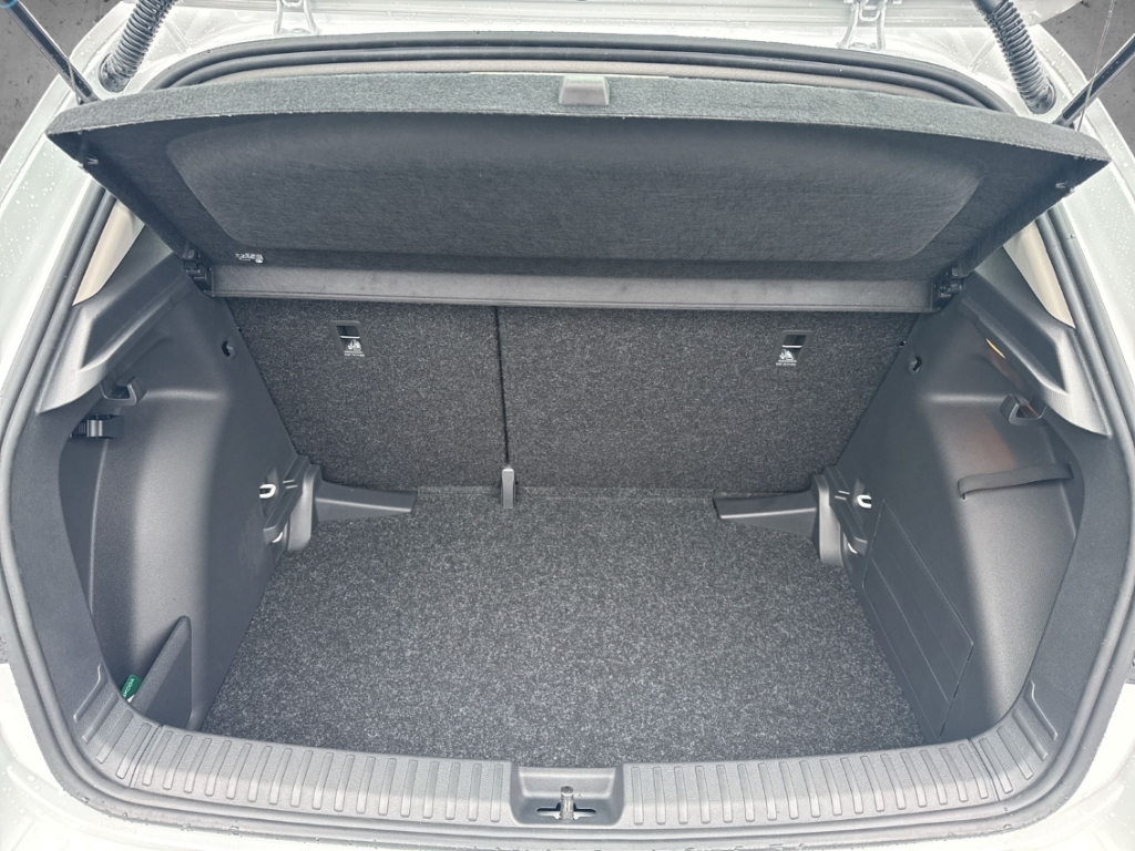 Fahrzeugabbildung SKODA Fabia 1.0 TSI SELECTION Klimaauto LED CarPlay