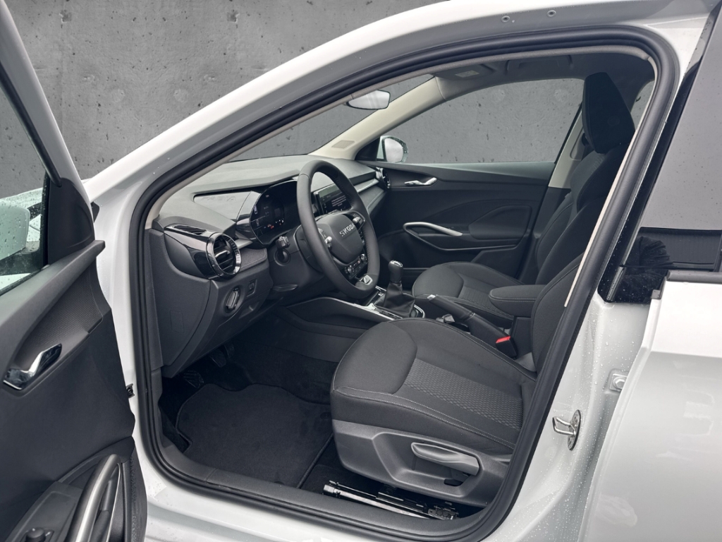 Fahrzeugabbildung SKODA Fabia 1.0 TSI SELECTION Klimaauto LED CarPlay