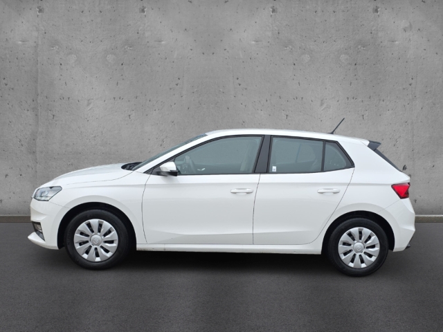 Fahrzeugabbildung SKODA Fabia Selection 1.0 TSI PDC LED BC Tem SHZ Klima