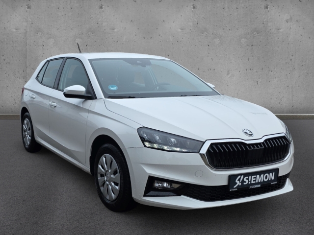 Fahrzeugabbildung SKODA Fabia Selection 1.0 TSI PDC LED BC Tem SHZ Klima
