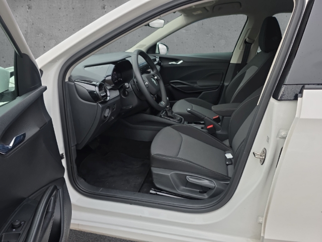 Fahrzeugabbildung SKODA Fabia Selection 1.0 TSI PDC LED BC Tem SHZ Klima