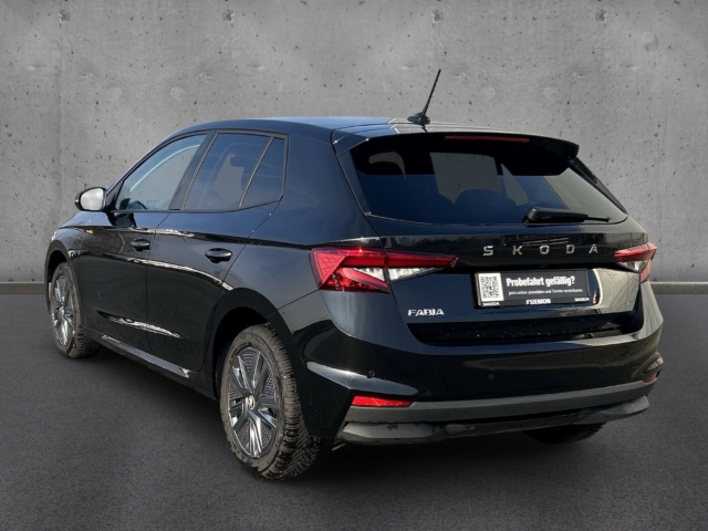 Fahrzeugabbildung SKODA Fabia 1.0 TSI DSG Tour LED Navi Temp SHZ Kamera