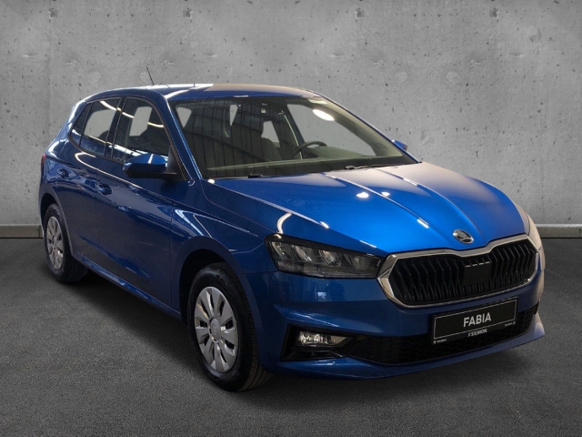 Fahrzeugabbildung SKODA Fabia 1.0 TSI Ambition LED Klima SHZ GRA SmartLink