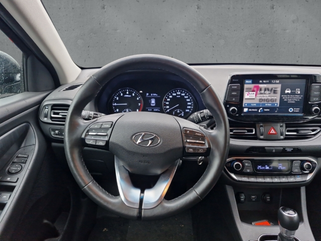 Fahrzeugabbildung Hyundai i30 1.0 T-GDI DCT Edition30 CarPlay RKam PDC SHZ Allwetter