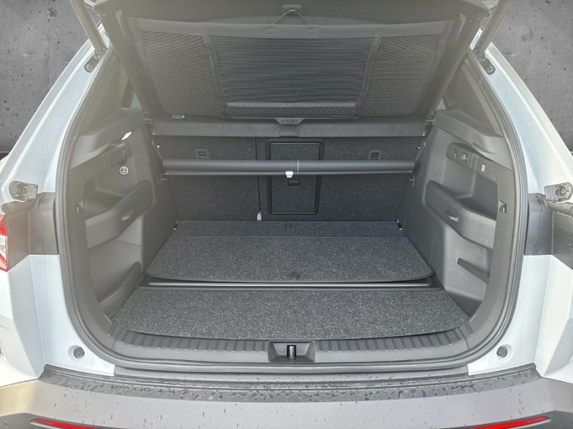 Fahrzeugabbildung SKODA Elroq Lodge 85 FIRST EDITION Multif.Lenkrad PDC