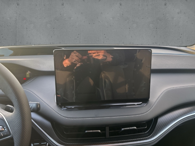 Fahrzeugabbildung SKODA Enyaq RS Suite 4x4 Maxx-Paket AHK LED ACC e-Sitze