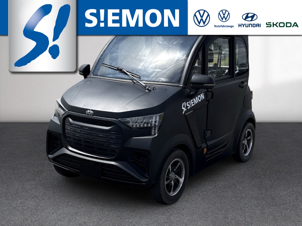 Andere andere andere e-GO! Lithium Akku
