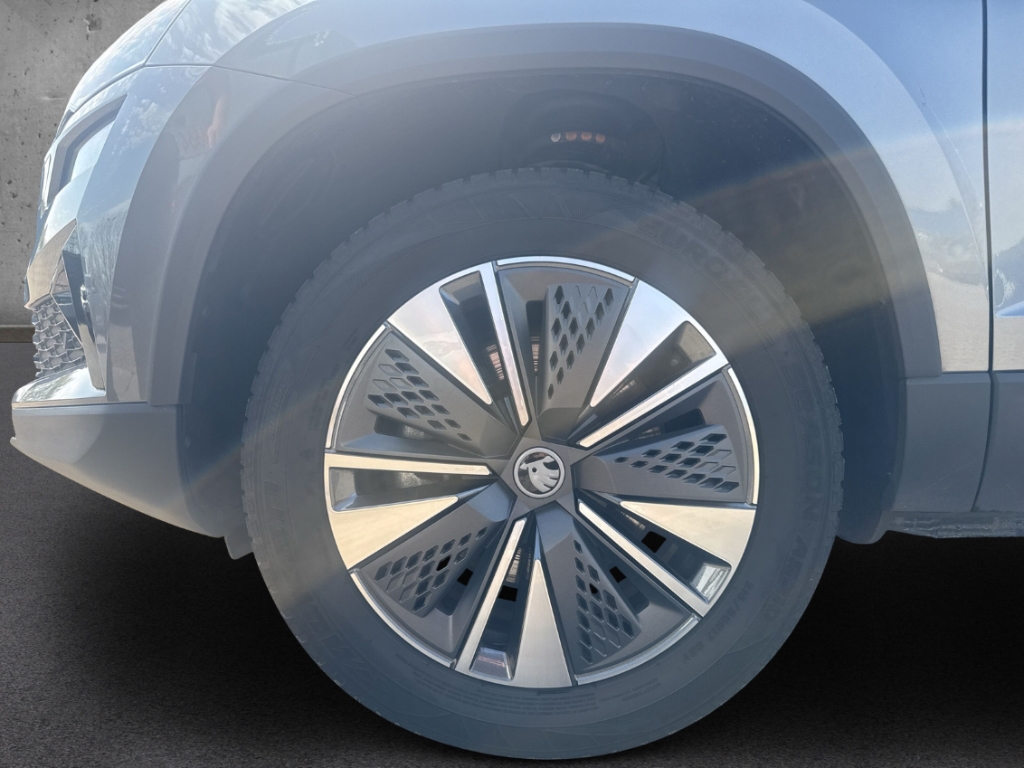 Fahrzeugabbildung SKODA Karoq 1.5 TSI DSG Tour AHK MatrixLED Navi Kamera