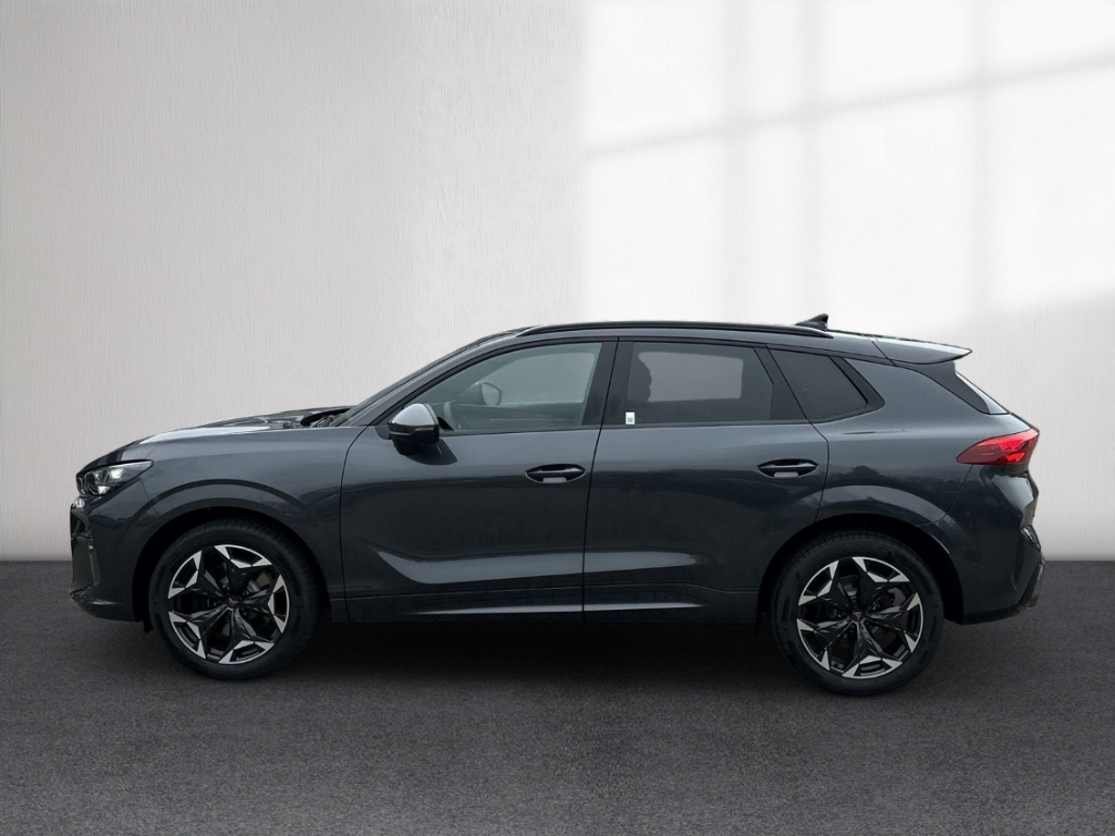 Fahrzeugabbildung CUPRA Terramar 2.0 TSI DSG VZ 4Drive AHK SHZ LED LM 19 virt.Pedal