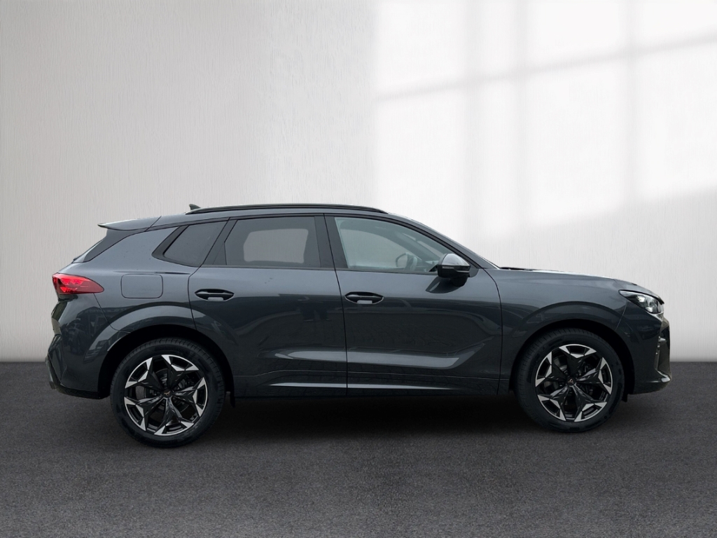 Fahrzeugabbildung CUPRA Terramar 2.0 TSI DSG VZ 4Drive AHK SHZ LED LM 19 virt.Pedal