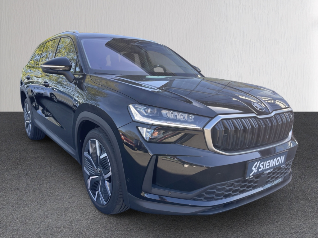 Fahrzeugabbildung SKODA Kodiaq 2.0 TDI DSG Selection AHK Leder LM-20 Winter Kamera