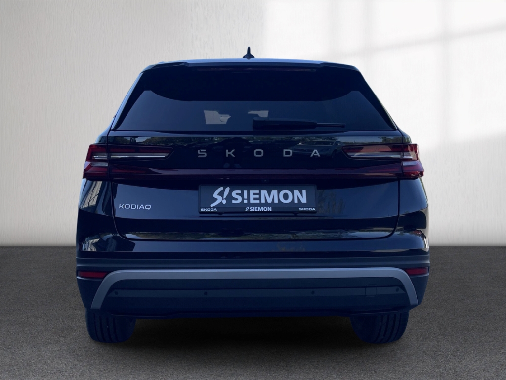 Fahrzeugabbildung SKODA Kodiaq 2.0 TDI DSG Selection AHK Leder LM-20 Winter Kamera