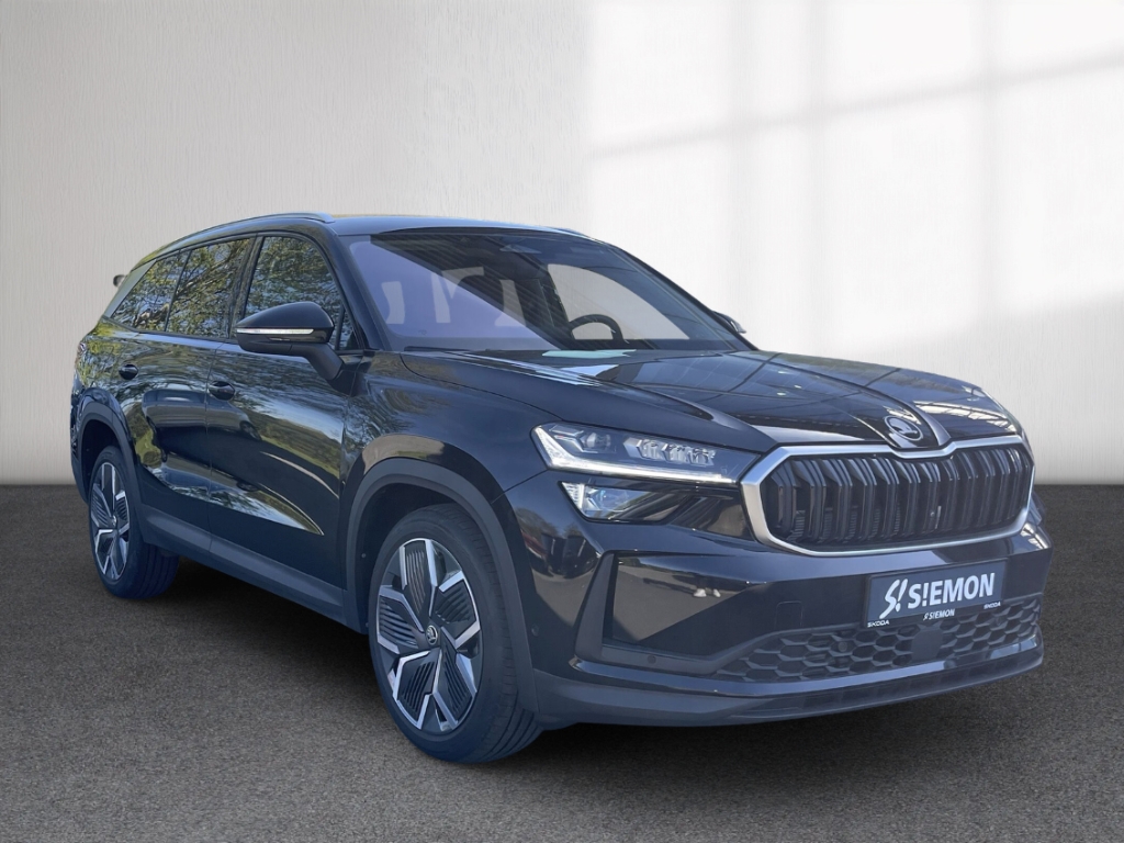 Fahrzeugabbildung SKODA Kodiaq 2.0 TDI DSG Selection AHK Leder LM-20 Winter Kamera