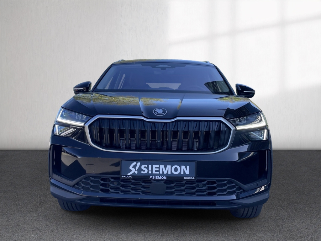 Fahrzeugabbildung SKODA Kodiaq 2.0 TDI DSG Selection AHK Leder LM-20 Winter Kamera