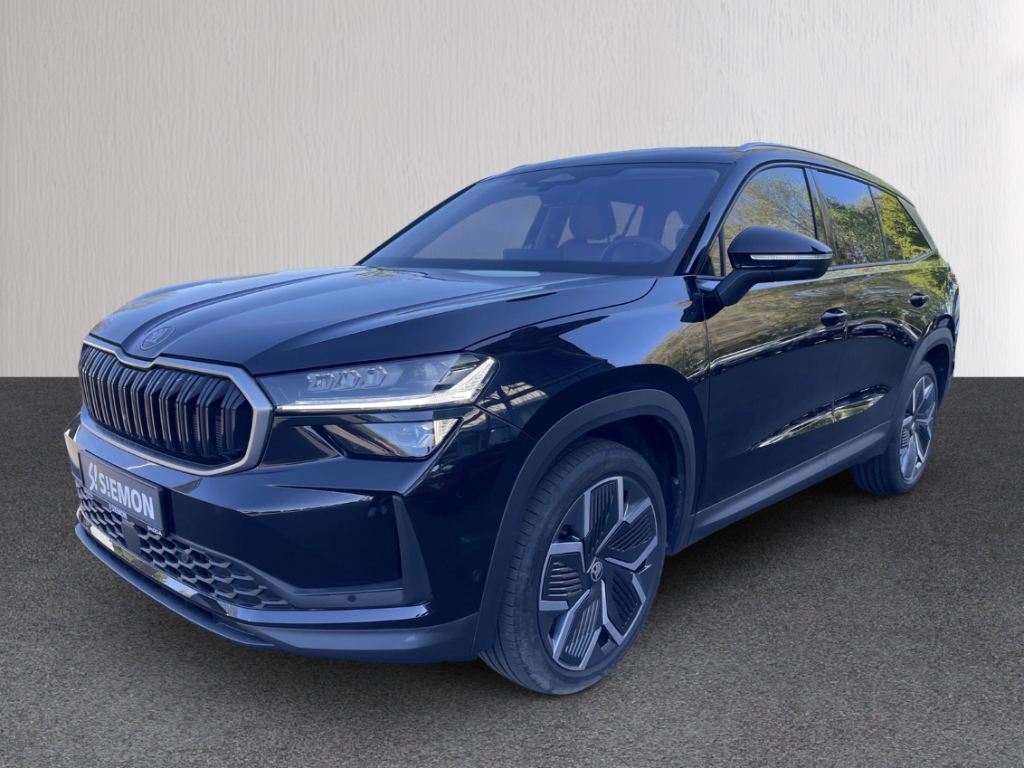 Fahrzeugabbildung SKODA Kodiaq 2.0 TDI DSG Selection AHK Leder LM-20 Winter Kamera