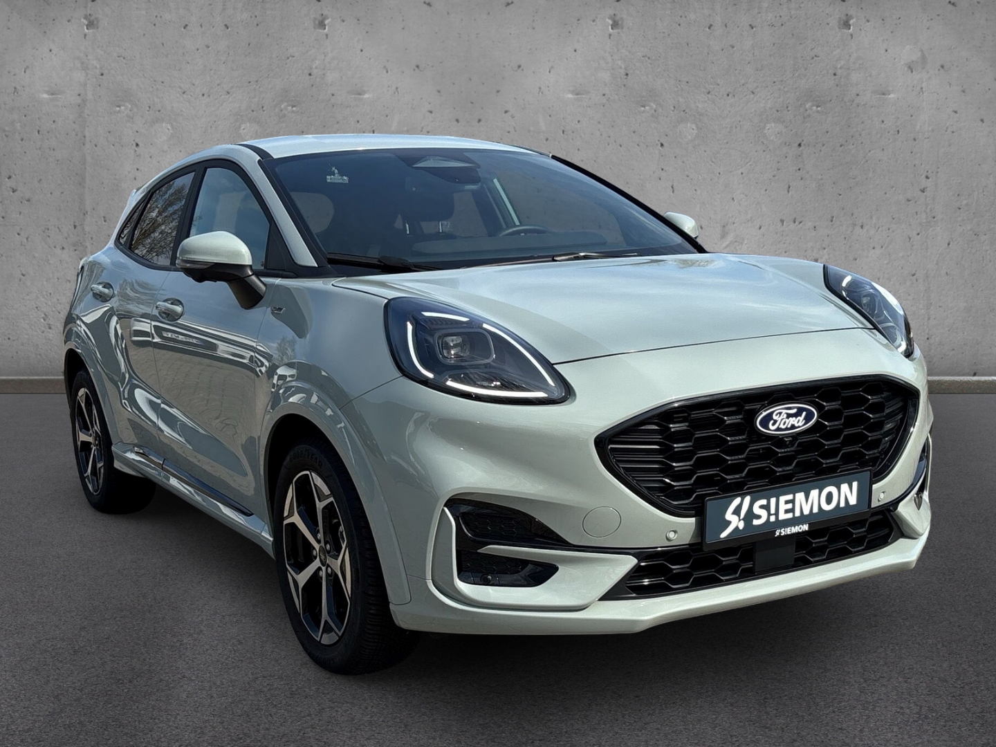 Fahrzeugabbildung Ford Puma 1.0 EcoBoost ST-Line X LED Navi Teilleder W