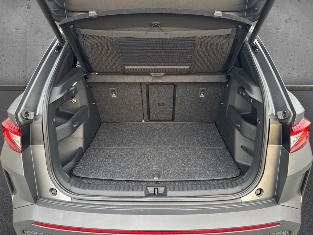 Fahrzeugabbildung SKODA Elroq RS Lounge 4x4 Maxx AHK Winter Wärmep. LM21