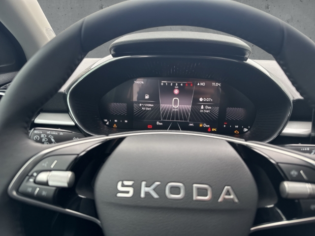 Fahrzeugabbildung SKODA Fabia 1.0 TSI SELECTION Klimaauto LED Apple CarP