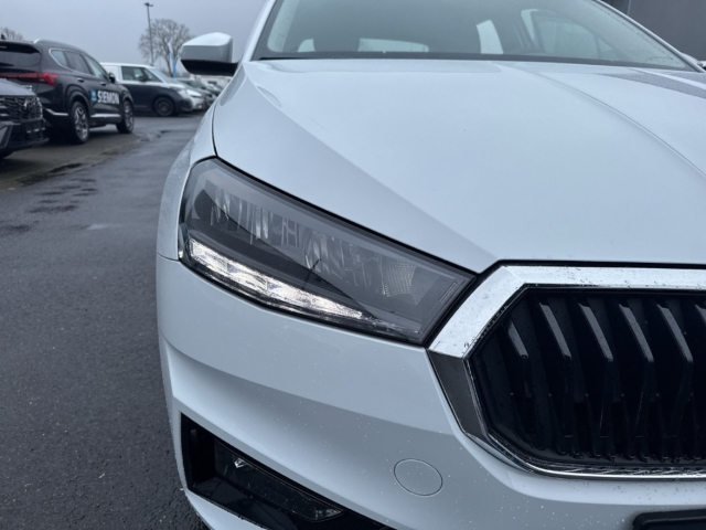 Fahrzeugabbildung SKODA Fabia 1.0 TSI SELECTION Klimaauto LED Apple CarP