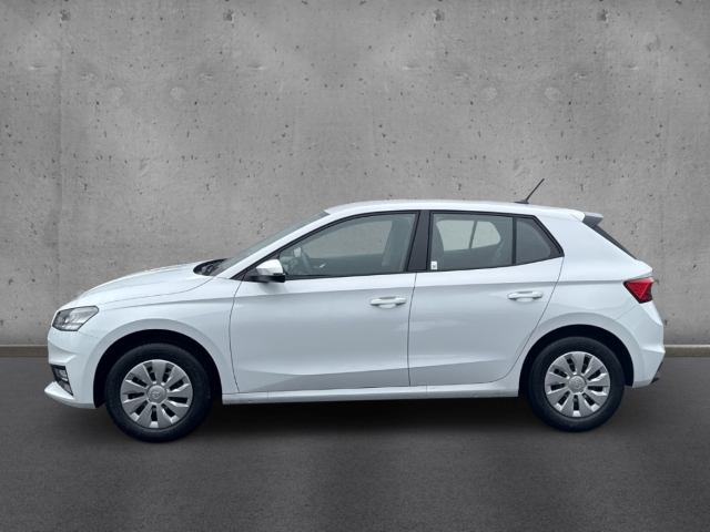 Fahrzeugabbildung SKODA Fabia 1.0 TSI SELECTION Klimaauto LED Apple CarP