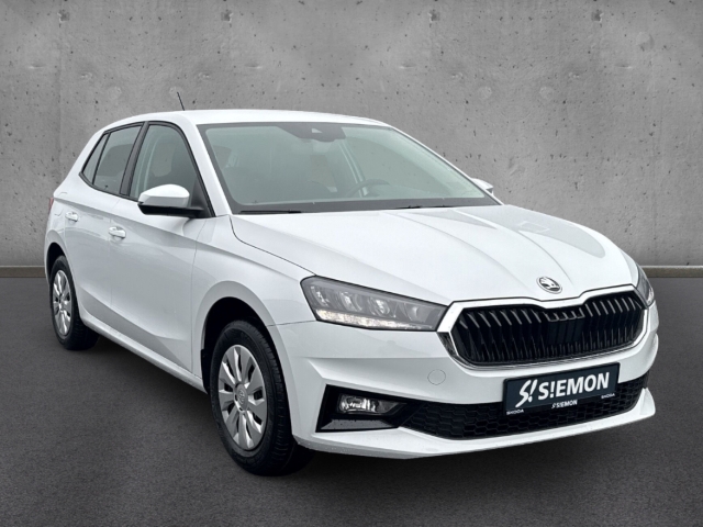 Fahrzeugabbildung SKODA Fabia 1.0 TSI SELECTION Klimaauto LED Apple CarP