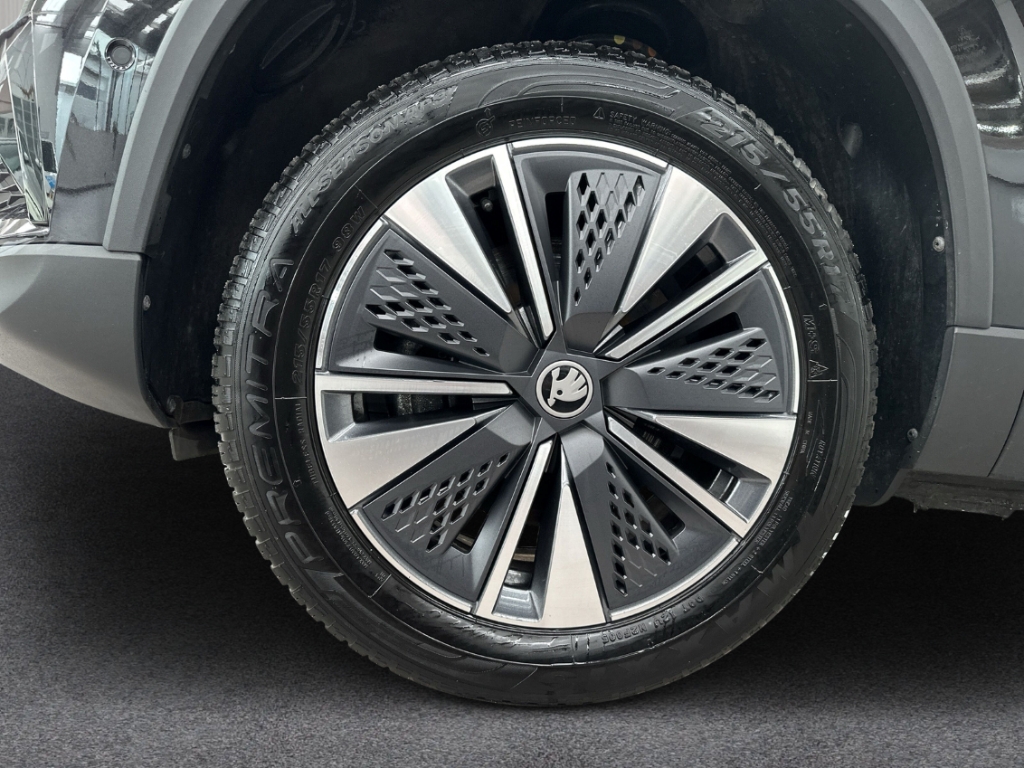 Fahrzeugabbildung SKODA Karoq TDI DSG Tour AHK MatrixLED Navi 360° KESSY