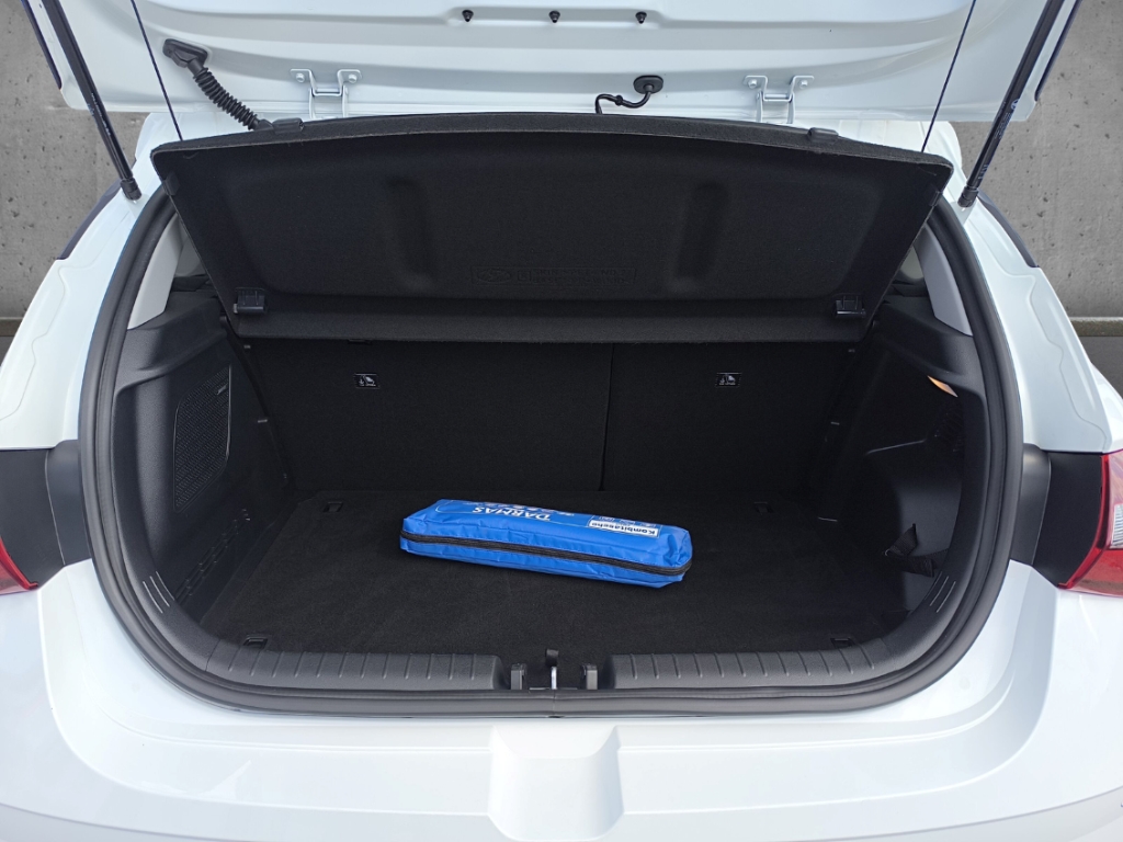 Fahrzeugabbildung Hyundai i20 1.0 T-GDI Edition 30+ Navi RKam Bose Klimaauto Allwetter