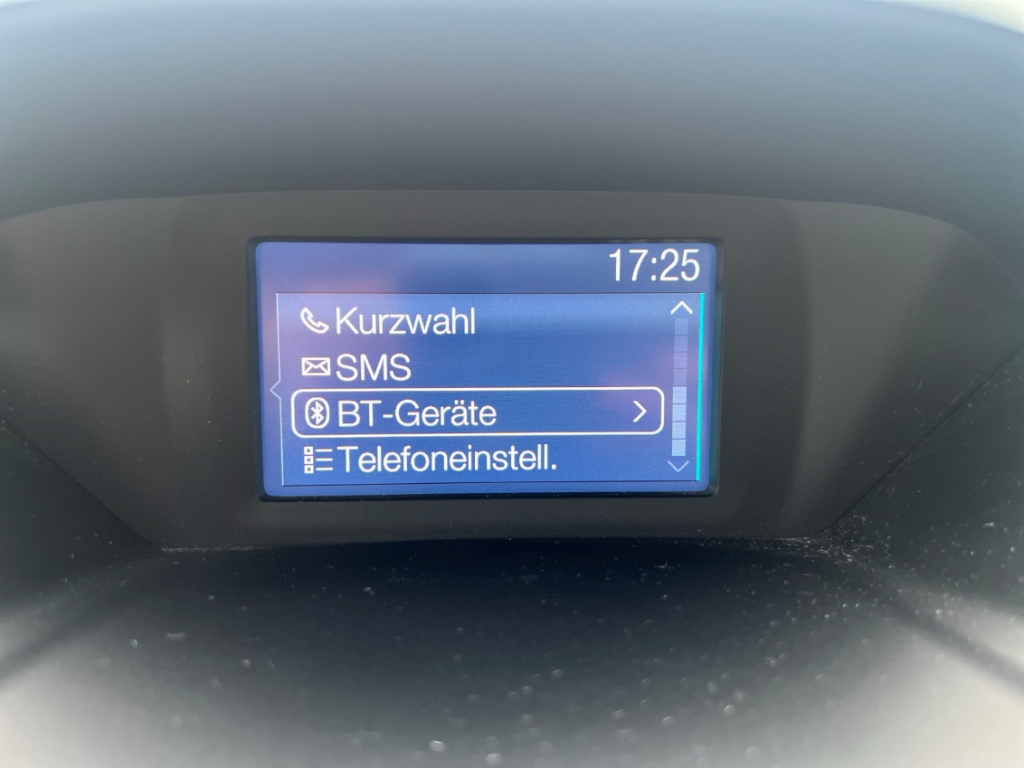 Fahrzeugabbildung Ford B-Max 1.0 EcoBoost Titanium SHZ Keyless Temp PDC