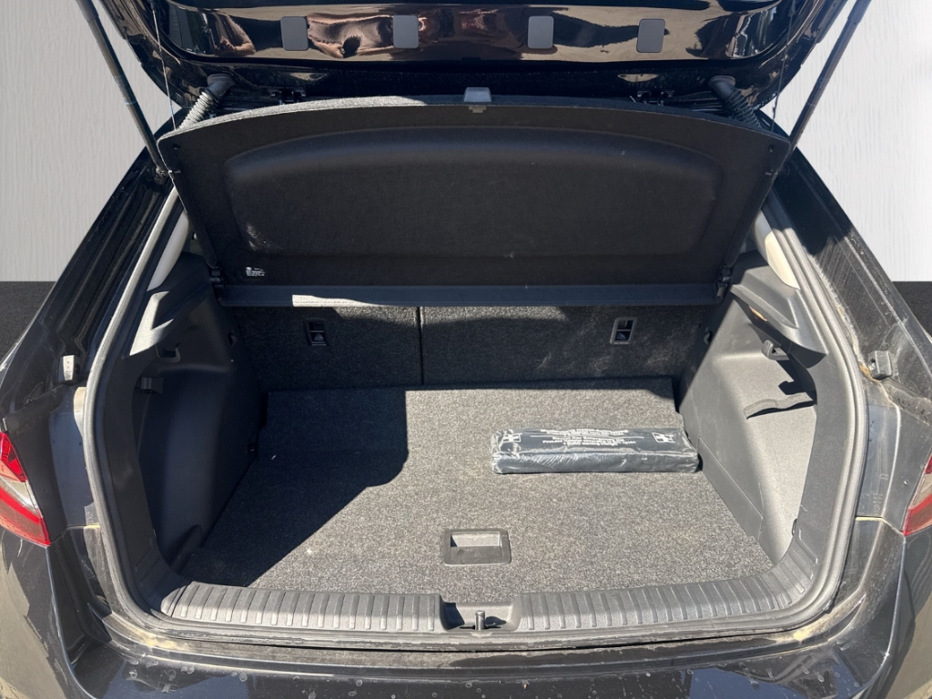 Fahrzeugabbildung SKODA Fabia 1.0 TSI DSG Tour AHK Navi ACC SHZ PDC RKam