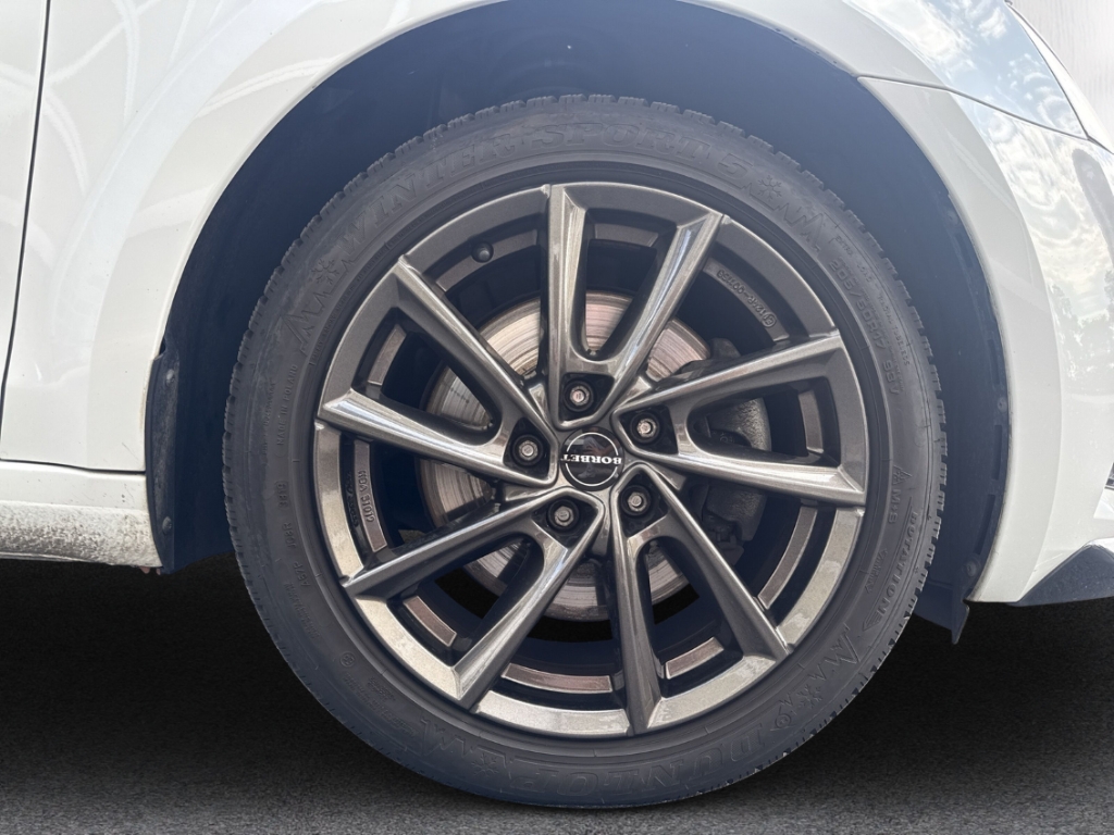 Fahrzeugabbildung SKODA Octavia Combi 2.0TSI DSG 4x4 Sport Edition Pano