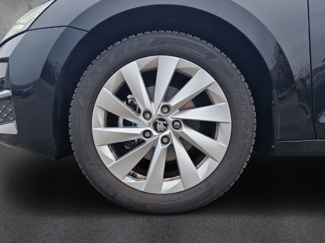 Fahrzeugabbildung SKODA Octavia Combi TDI DSG Selection AHK MatrLED 360°