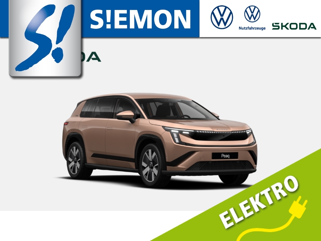 SKODA Peaq 90 Selection LED DCC LM20 AHK Maxx LEDER