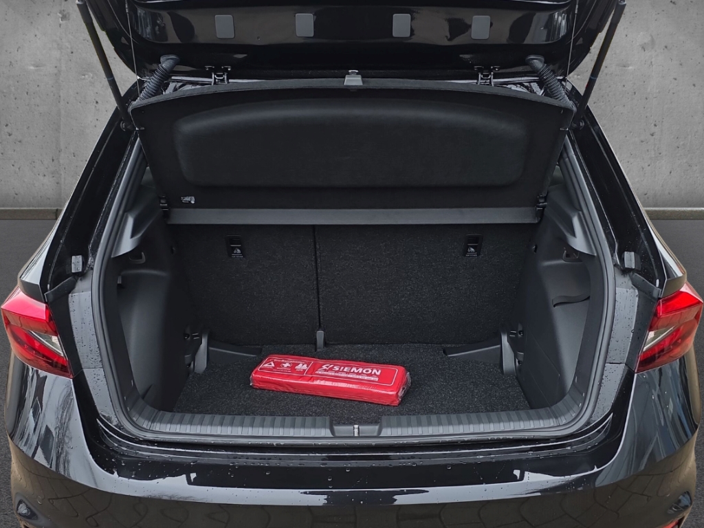 Fahrzeugabbildung SKODA Fabia Monte Carlo 1.0 TSI Temp PDCv+h Keyless LED SHZ