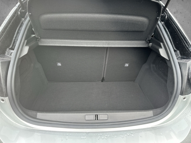 Fahrzeugabbildung Opel Corsa F GS AT Sitzheizung LED LM Kamera DIGICOCK