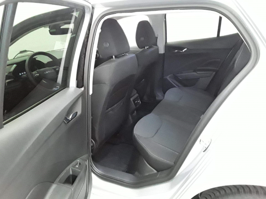 Fahrzeugabbildung SKODA Fabia 1.0 TSI Selection ACC LED SHZ LHZ Navi PDCv+h