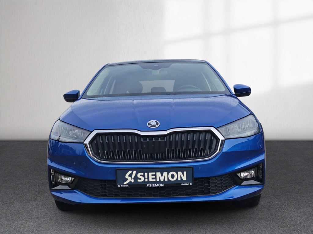 Fahrzeugabbildung SKODA Fabia 1.0 TSI Style Pano SHZ LHZ PDCv+h SmartLink