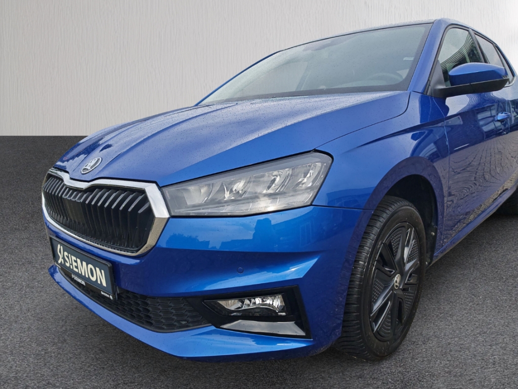Fahrzeugabbildung SKODA Fabia 1.0 TSI Style Pano SHZ LHZ PDCv+h SmartLink