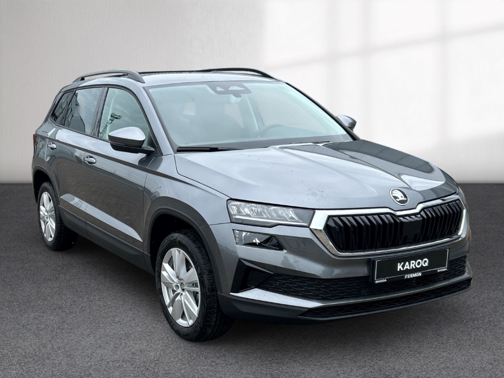 Fahrzeugabbildung SKODA Karoq 1.0 TSI Selection LED AHK Park Winter Komf