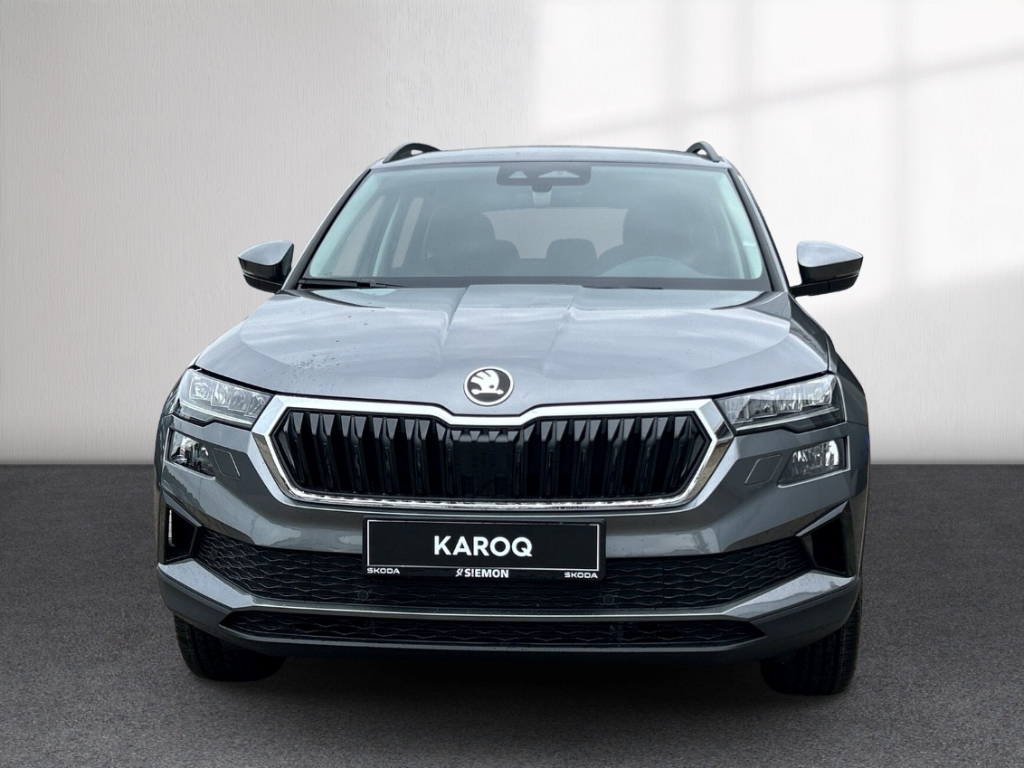 Fahrzeugabbildung SKODA Karoq 1.0 TSI Selection LED AHK Park Winter Komf