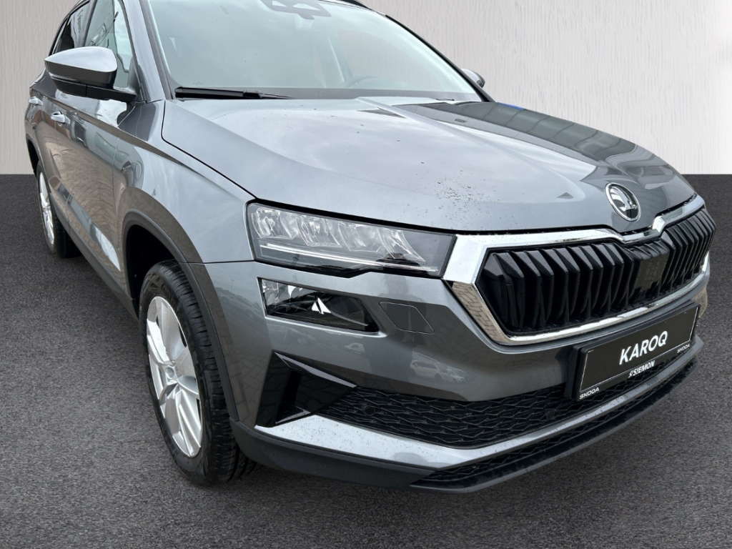 Fahrzeugabbildung SKODA Karoq 1.0 TSI Selection LED AHK Park Winter Komf