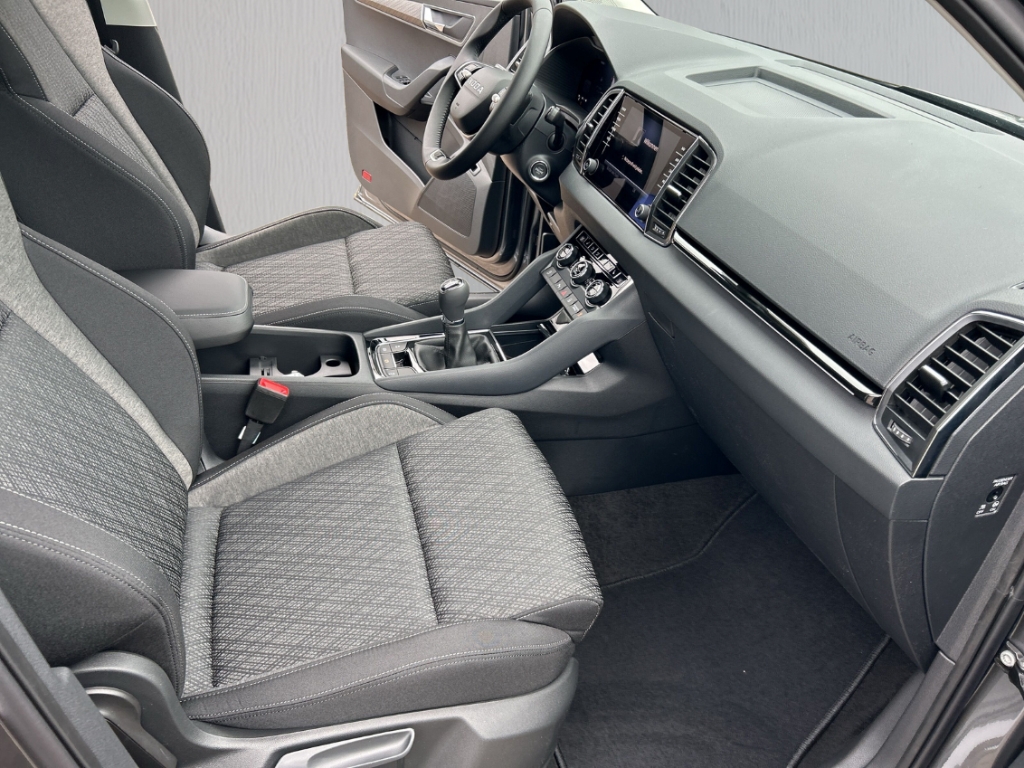 Fahrzeugabbildung SKODA Karoq 1.0 TSI Selection LED AHK Park Winter Komf