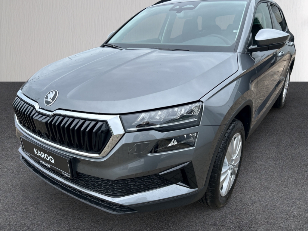 Fahrzeugabbildung SKODA Karoq 1.0 TSI Selection LED AHK Park Winter Komf