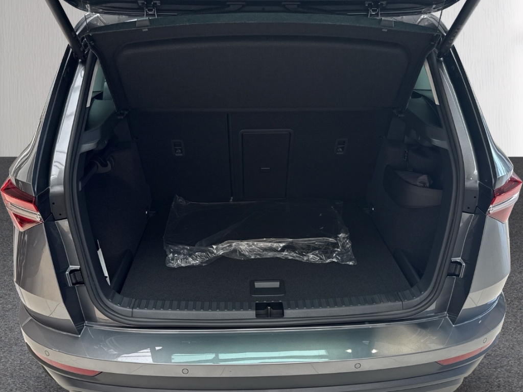 Fahrzeugabbildung SKODA Karoq 1.0 TSI TOUR Lodge Matrix AHK eHeck SHZ PDC
