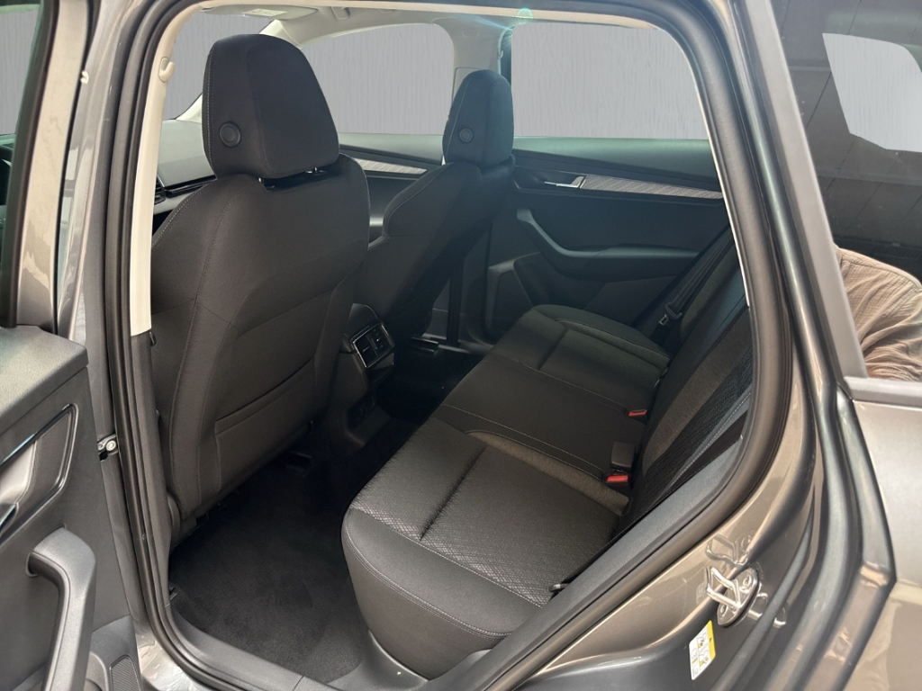Fahrzeugabbildung SKODA Karoq 1.0 TSI TOUR Lodge Matrix AHK eHeck SHZ PDC