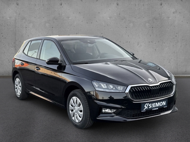 Fahrzeugabbildung SKODA Fabia Monte Carlo 1.0 TSI DSG PDC SHZ Klima LED