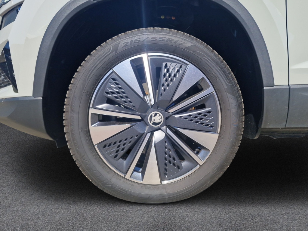 Fahrzeugabbildung SKODA Karoq TDI DSG Tour AHK MatrLED Nav SHZ LHZ R-Kam