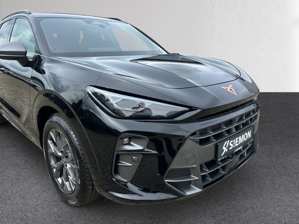 Fahrzeugabbildung CUPRA Terramar eTSI 1.5 TSI DSG AHK Winter eHK ACC SHZ