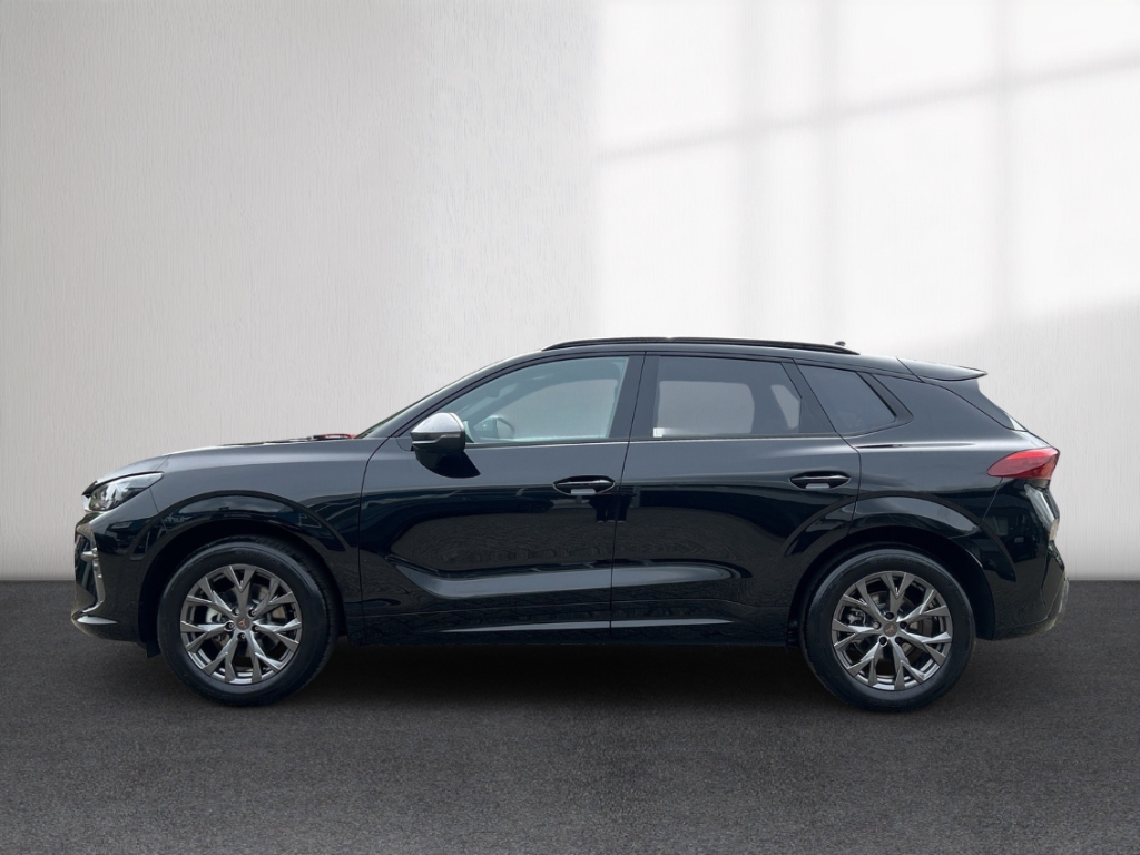 Fahrzeugabbildung CUPRA Terramar eTSI 1.5 TSI DSG AHK Winter eHK ACC SHZ
