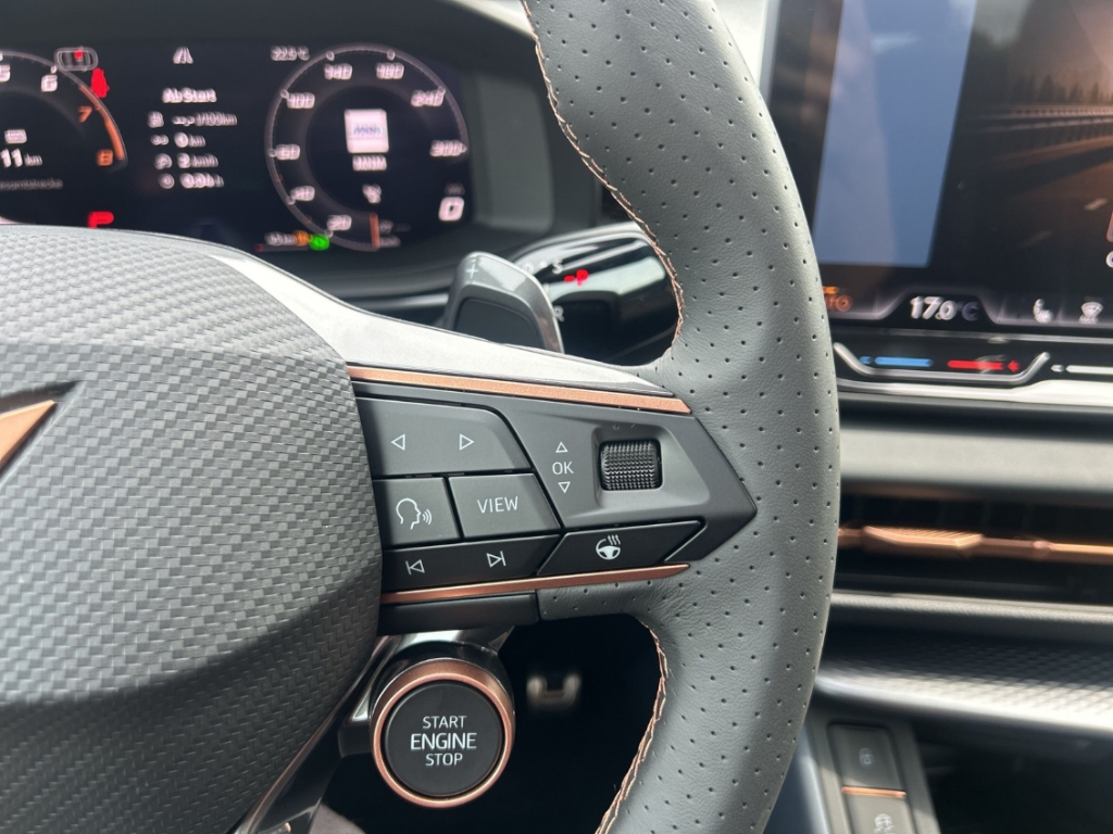 Fahrzeugabbildung CUPRA Terramar eTSI 1.5 TSI DSG AHK Winter eHK ACC SHZ